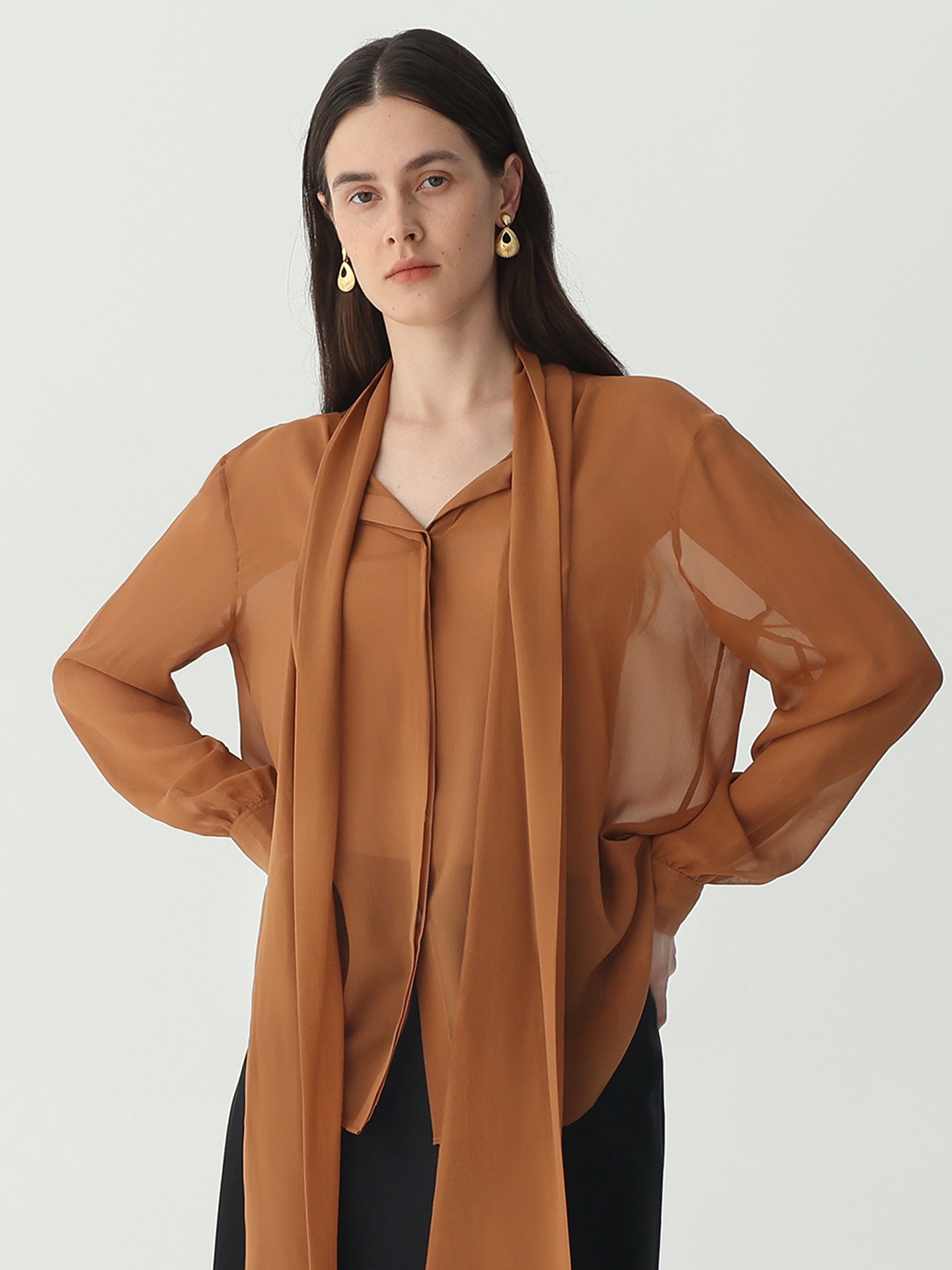 Sheer Silk Georgette Tie Neck Blouse | Vintage Lantern Sleeve Top